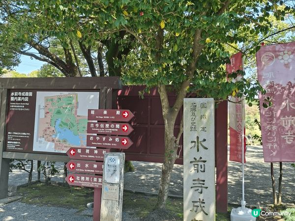 #水前寺成趣園#熊本打卡好去處#有樱花#有不同種類的松樹#有...