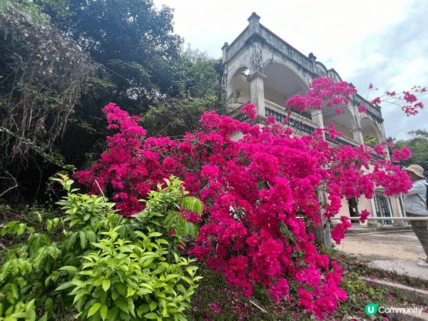 鹿頸，谷埔行至新娘潭，春天適合行山鍛鍊身體又可以欣賞沿途美景...