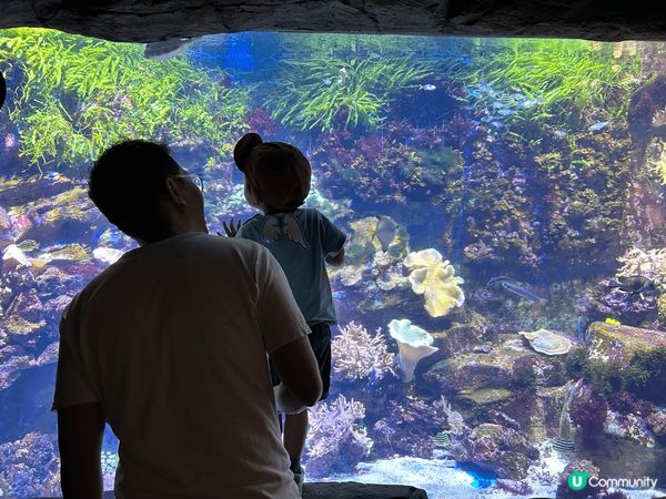 香港海洋公園是一個理想的親子玩樂勝地，融合了動物園、主題公園...