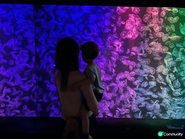 香港海洋公園是一個理想的親子玩樂勝地，融合了動物園、主題公園...