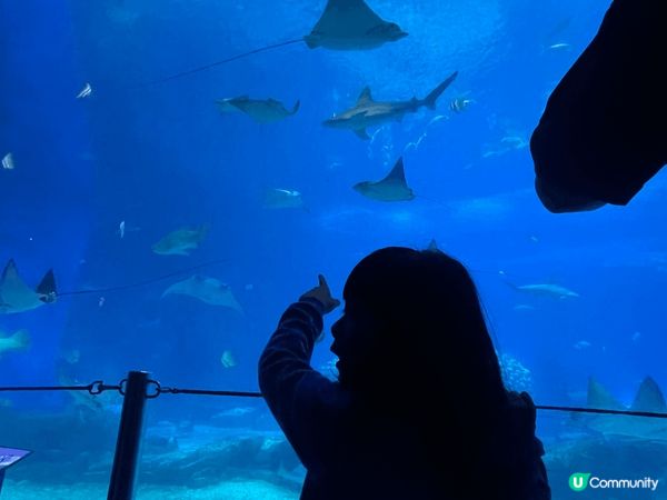 襯復活節連期，選擇了帶小朋友去珠海長隆玩
