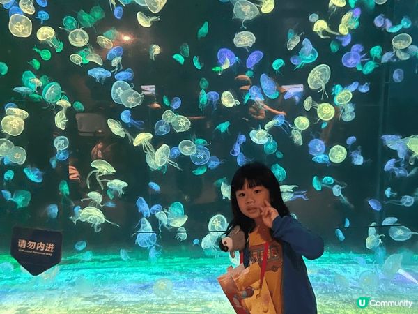 襯復活節連期，選擇了帶小朋友去珠海長隆玩
