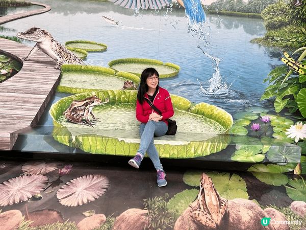 香港實在太多地方值得去打卡，上星期日剛剛去了濕地公園，翠綠的...