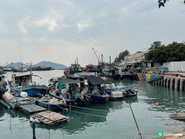 唔知大家有冇留意到最近行山嘅地方都迫滿好多遊客，如果想搵一個...