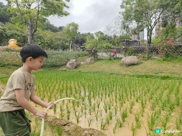 帶住呢兩兄妹外遊，雖然係攰，不過可以令佢地見識多D野，親親大...