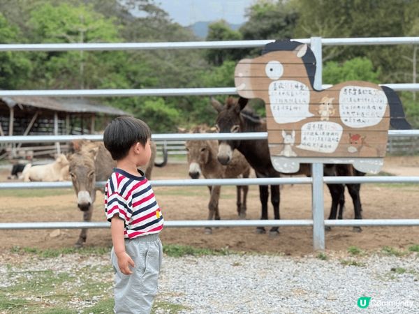 帶著寶寶自駕清遠享受一站式農家樂