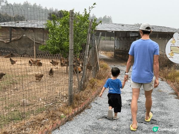 帶著寶寶自駕清遠享受一站式農家樂