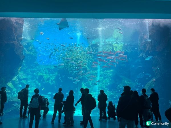 台灣桃園Xpart水族館，勁大勁靚