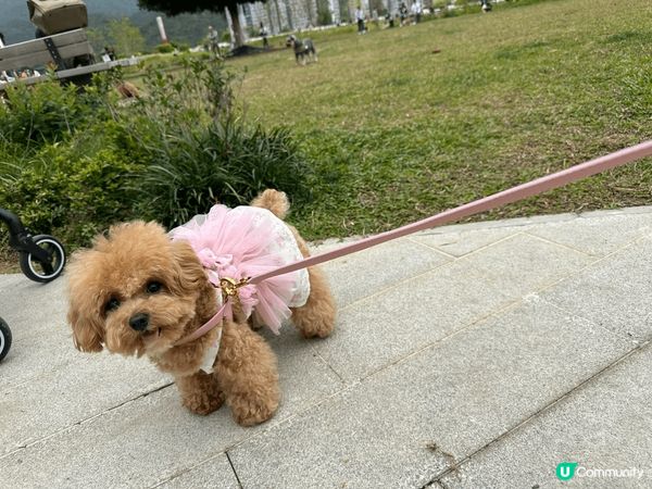 平日最喜歡就係去街街玩，所以清潔用品都要成日使用，希望搵到適...