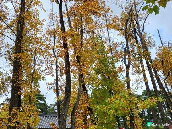 江陵 - 韓國近郊 - 文青、玩咖、吃貨一次滿足