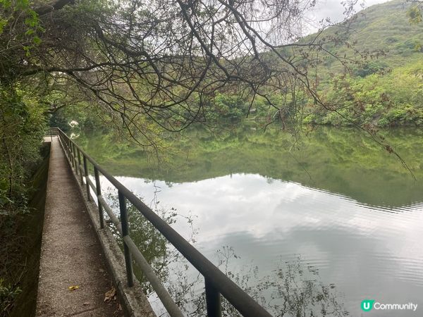 上水心形湖打卡 🗺️❤️看正面和側面心形😍