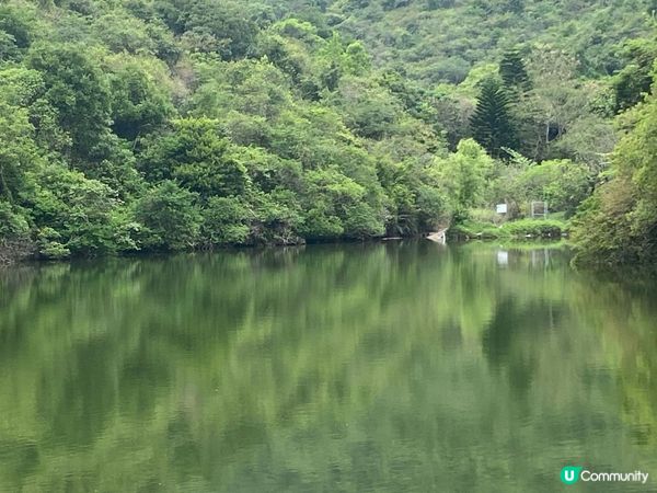 上水心形湖打卡 🗺️❤️看正面和側面心形😍