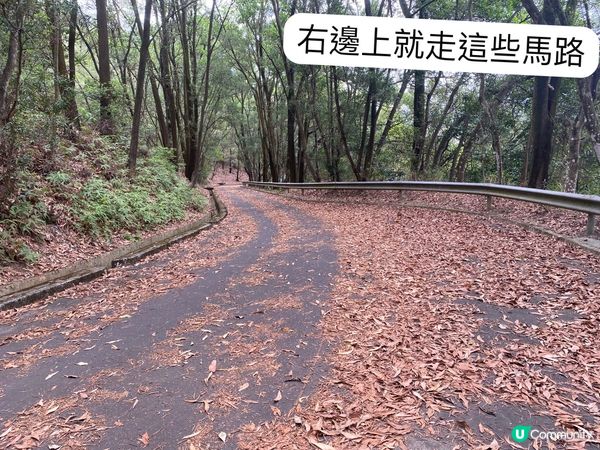 上水心形湖打卡 🗺️❤️看正面和側面心形😍