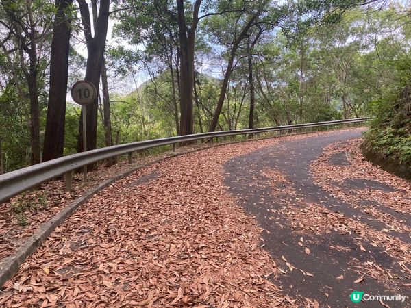 上水心形湖打卡 🗺️❤️看正面和側面心形😍