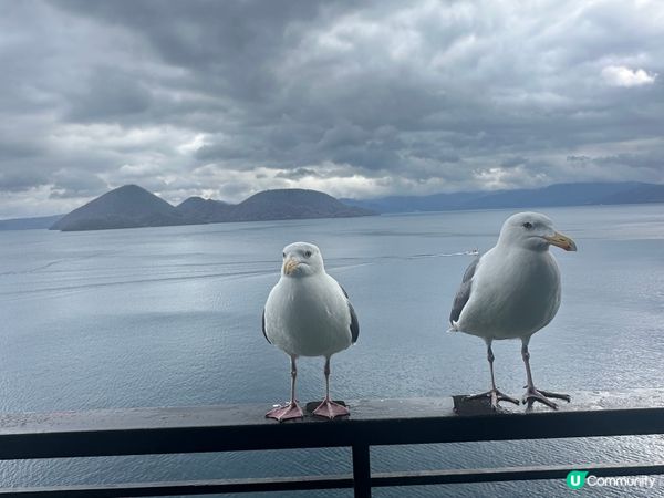北海道洞爺湖溫泉酒店評價 - 華美