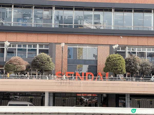 3月去仙台旅行，杏樹是12月在上野拍的～