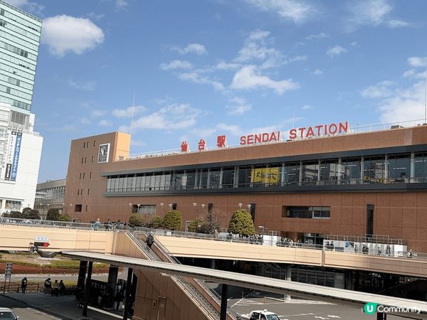 3月去仙台旅行，杏樹是12月在上野拍的～