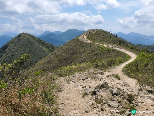 西貢彎曲山，上到頂完全無遮擋，可以一覽西貢，沙田，大埔一帶，...