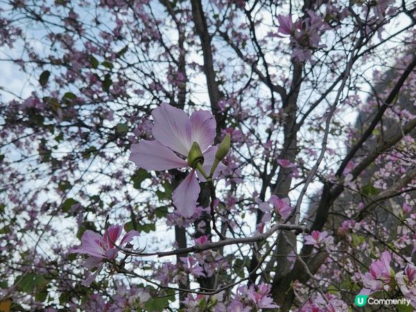 賀州鐘山水墨百里畫廊是一個風景如畫的地方，以壯麗的山水景色聞...