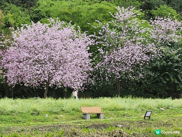 賀州鐘山水墨百里畫廊是一個風景如畫的地方，以壯麗的山水景色聞...
