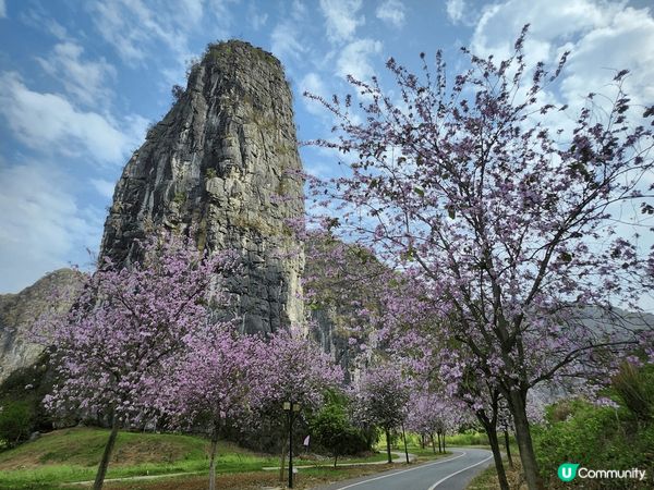 賀州鐘山水墨百里畫廊是一個風景如畫的地方，以壯麗的山水景色聞...