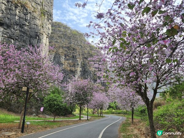 賀州鐘山水墨百里畫廊是一個風景如畫的地方，以壯麗的山水景色聞...
