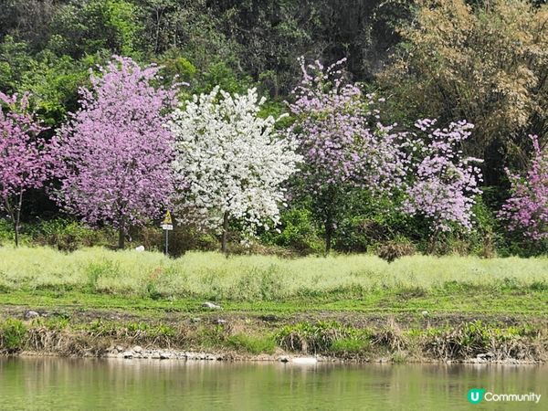 賀州鐘山水墨百里畫廊是一個風景如畫的地方，以壯麗的山水景色聞...