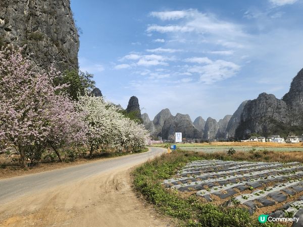 賀州鐘山水墨百里畫廊是一個風景如畫的地方，以壯麗的山水景色聞...