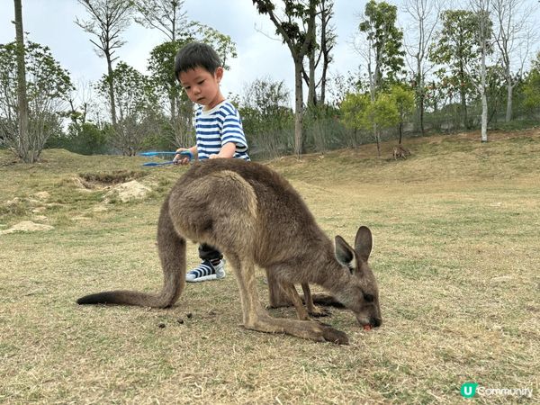 清遠長隆，兩日一夜之旅