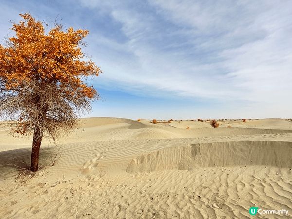 有塞浦路斯出名嘅玻璃水、緬甸嘅日落本立橋，南疆嘅金秋沙漠，奧...