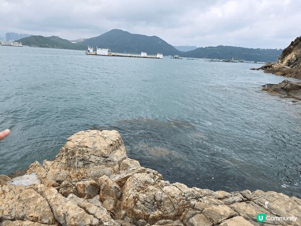 1/5去左東龍島一日遊，呢個地方可以露營、行山或看海，而我就...