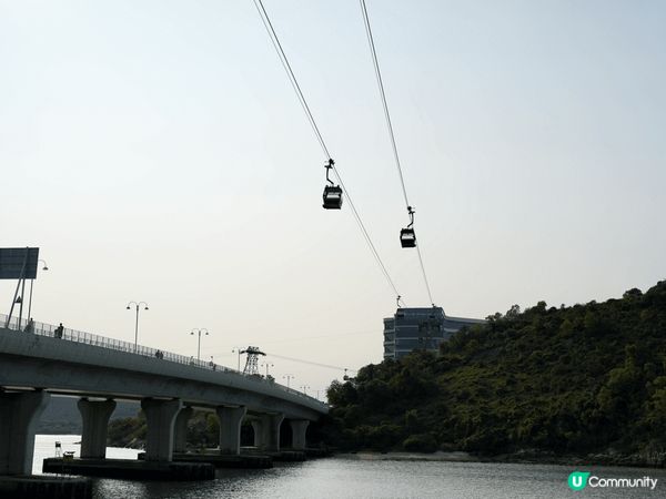 大澳好去處 一期一會黃風鈴木@機場