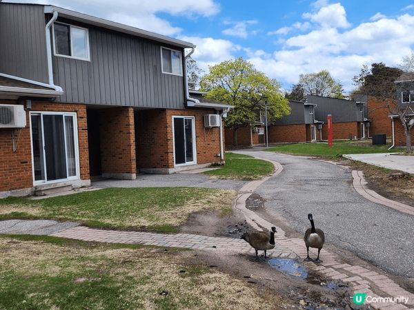 The Sakura Grove真係超靚😍，有好多櫻花樹🌸，...