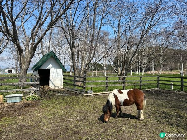 北海道Lake Hill Farm