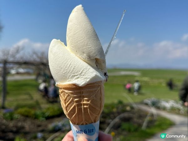 北海道Lake Hill Farm