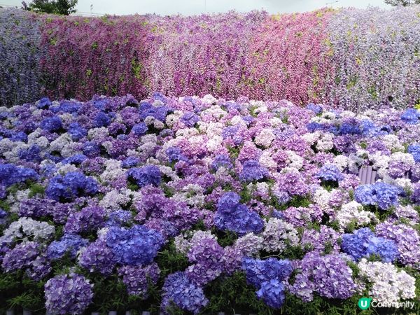 #別要再蝨眠 成日想旅行，唔通真係有咁多錢同時間成日去咩，其...