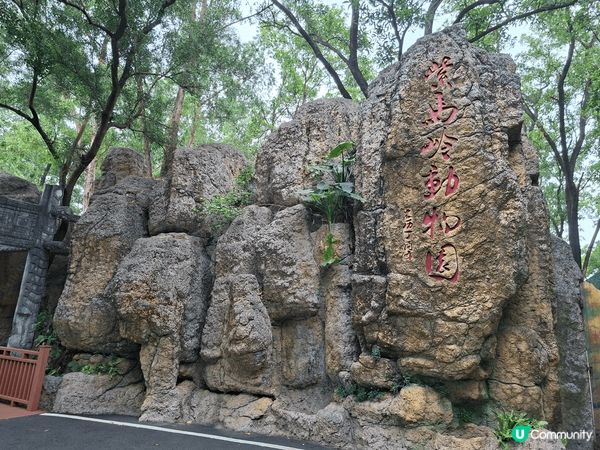 中山紫馬嶺動物園 🐻‍❄️ 50蚊入場！黑熊識跳舞勁抵睇！