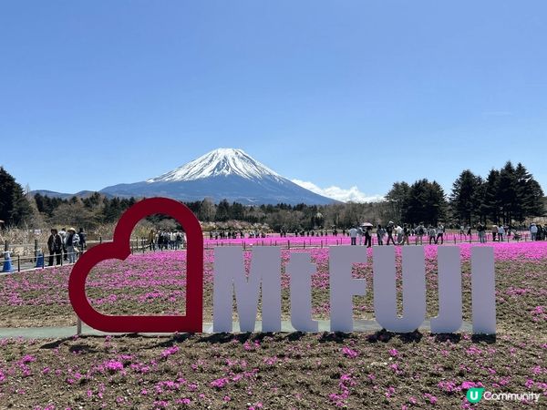 無論那一角度拍攝富士山都是那麼美麗，剛好遇上富士芝樱祭，拍攝...