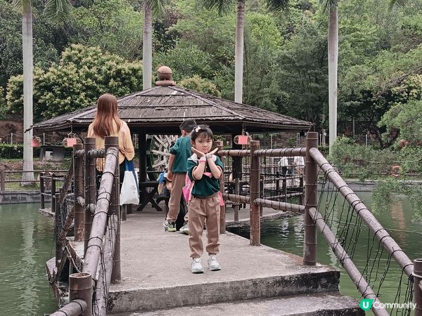 上個月姨甥女同我阿媽, 三個人一齊去參加幼稚園學校旅行,目的...