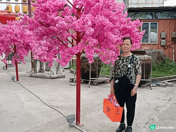 上個月姨甥女同我阿媽, 三個人一齊去參加幼稚園學校旅行,目的...