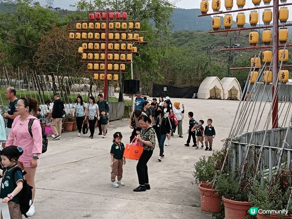 上個月姨甥女同我阿媽, 三個人一齊去參加幼稚園學校旅行,目的...