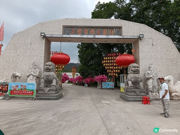 上個月姨甥女同我阿媽, 三個人一齊去參加幼稚園學校旅行,目的...