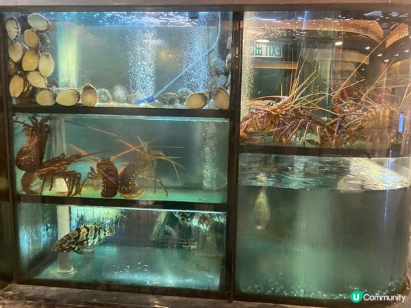 佐敦隱世美食 🤫 青葉海鮮酒家，驚喜價錢！💰