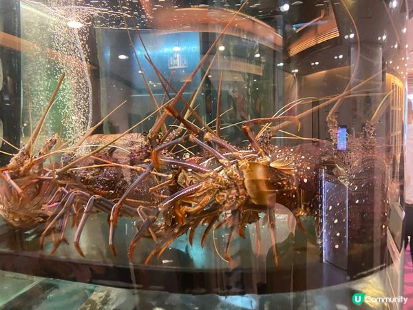 佐敦隱世美食 🤫 青葉海鮮酒家，驚喜價錢！💰