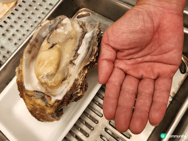 有益的家常便飯和旅行食物