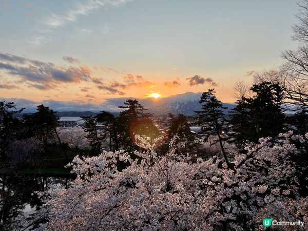 這組照片紀錄了我在日本青森弘前公園的櫻花之旅，捕捉不同時光的...