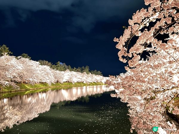 這組照片紀錄了我在日本青森弘前公園的櫻花之旅，捕捉不同時光的...