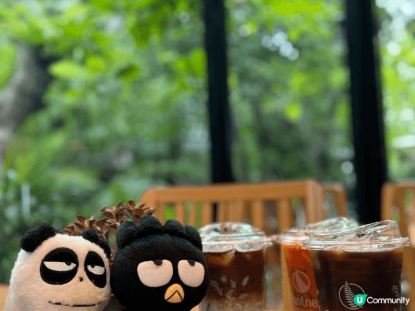 去泰國更係要飲飲食食啦，又平又靚，環境又好，仲唔會比人趕走