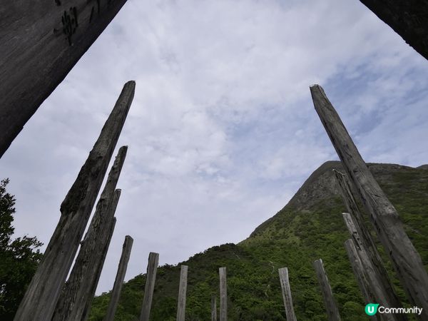 心經簡林是一個靜謐的打卡熱點，擁有優美的自然景觀和靈性氛圍，...