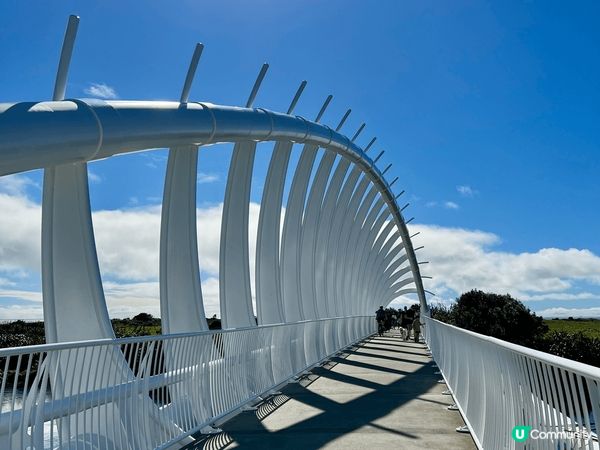 紐西蘭蜜月之旅是一個美好的回憶 